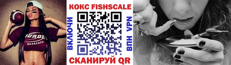 COCAIN FishScale  где купить наркотик  ссылка на мегу сайт  Полысаево 