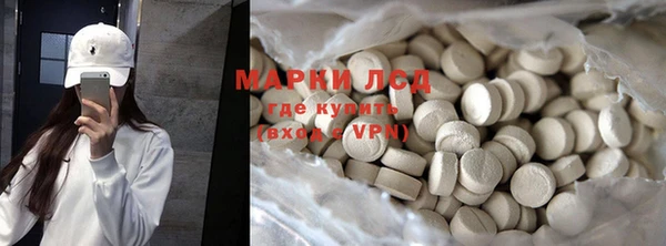 ПСИЛОЦИБИНОВЫЕ ГРИБЫ Арсеньев