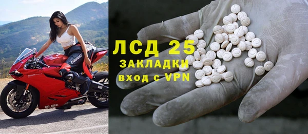 ПСИЛОЦИБИНОВЫЕ ГРИБЫ Арсеньев