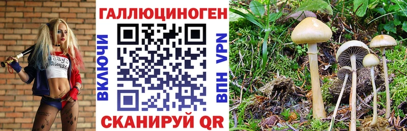 МЕГА как войти  закладка  Полысаево  Галлюциногенные грибы Psilocybe 
